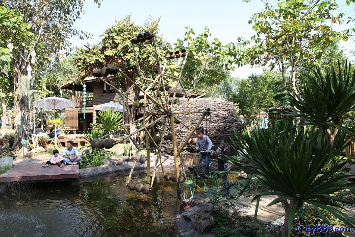 ChiangMai_Royal_Flower_Flora