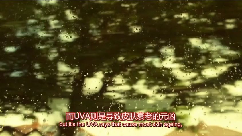衰老原因研究出来了