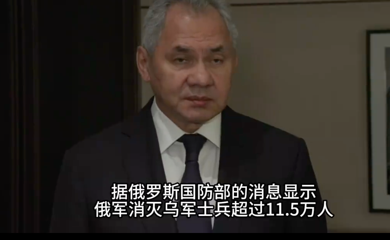 绍伊古：俄方2个月消灭11.5万人