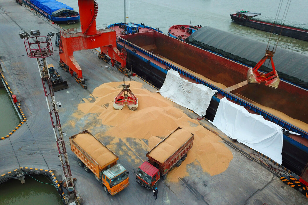 中国东部某港口正在卸载来自巴西的大豆